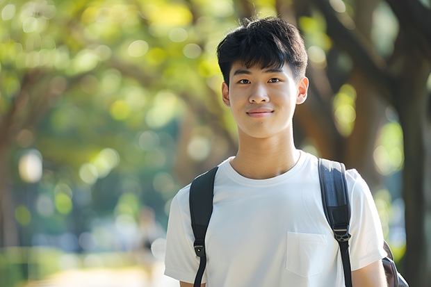 成人高考的本科学前教育专业的可以考教师编制吗