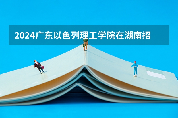 2024广东以色列理工学院在湖南招生计划多少人