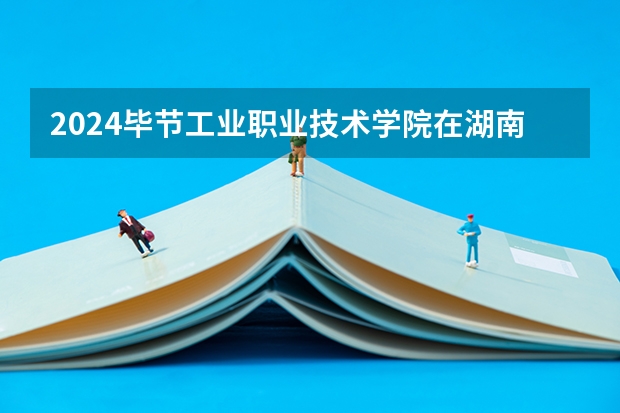 2024毕节工业职业技术学院在湖南招生计划多少人